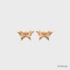 ARETE GOLDEN BUTTERFLIES DORADO